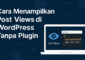 Cara Menampilkan Post Views Wordpress Tanpa Plugin