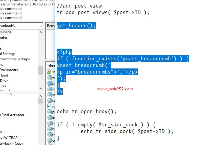 Contoh letak kode di single.php