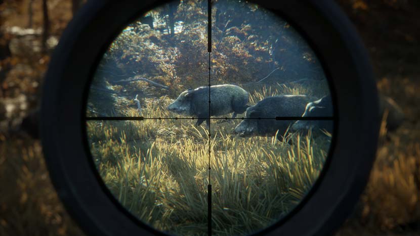 Download Game The Hunter Call Of The Wild Gratis Download Game The Hunter Call Of The Wild Gratis