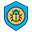 Antivirus shield icon