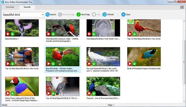 Download Any Video Downloader Pro Full Crack