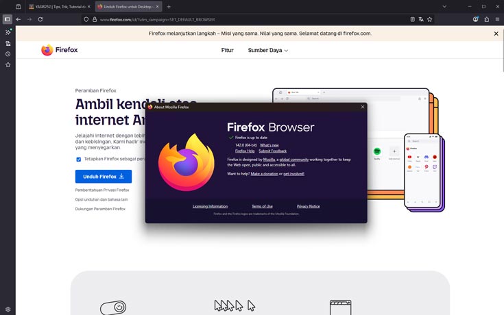 Mozilla Firefox Offline Installer (Standalone Version)