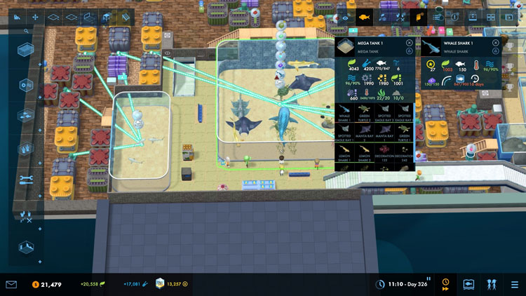Megaquarium PC Gameplay dan memberi makan ikan