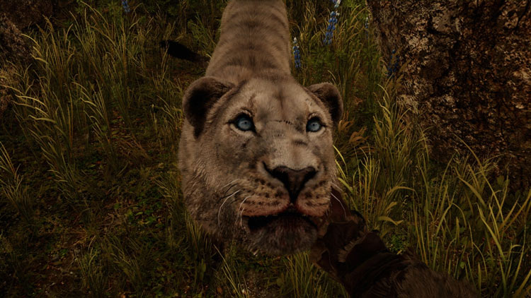 Menjinakkan sabretooth di Far Cry Primal Full Crack PC Game
