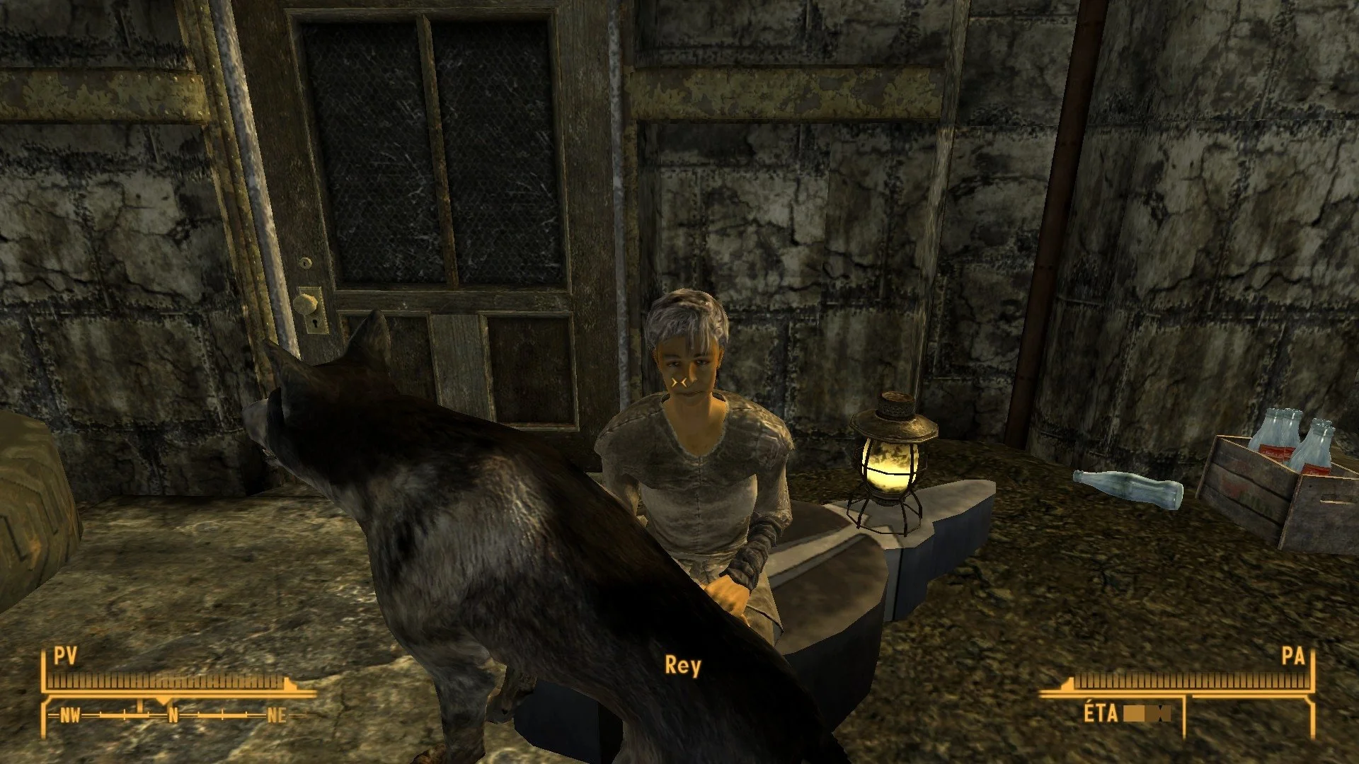 Fallout New Vegas gameplay NPC dialogue with companion