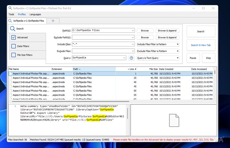 FileSeek Pro Portable tabbed search interface with advanced query results