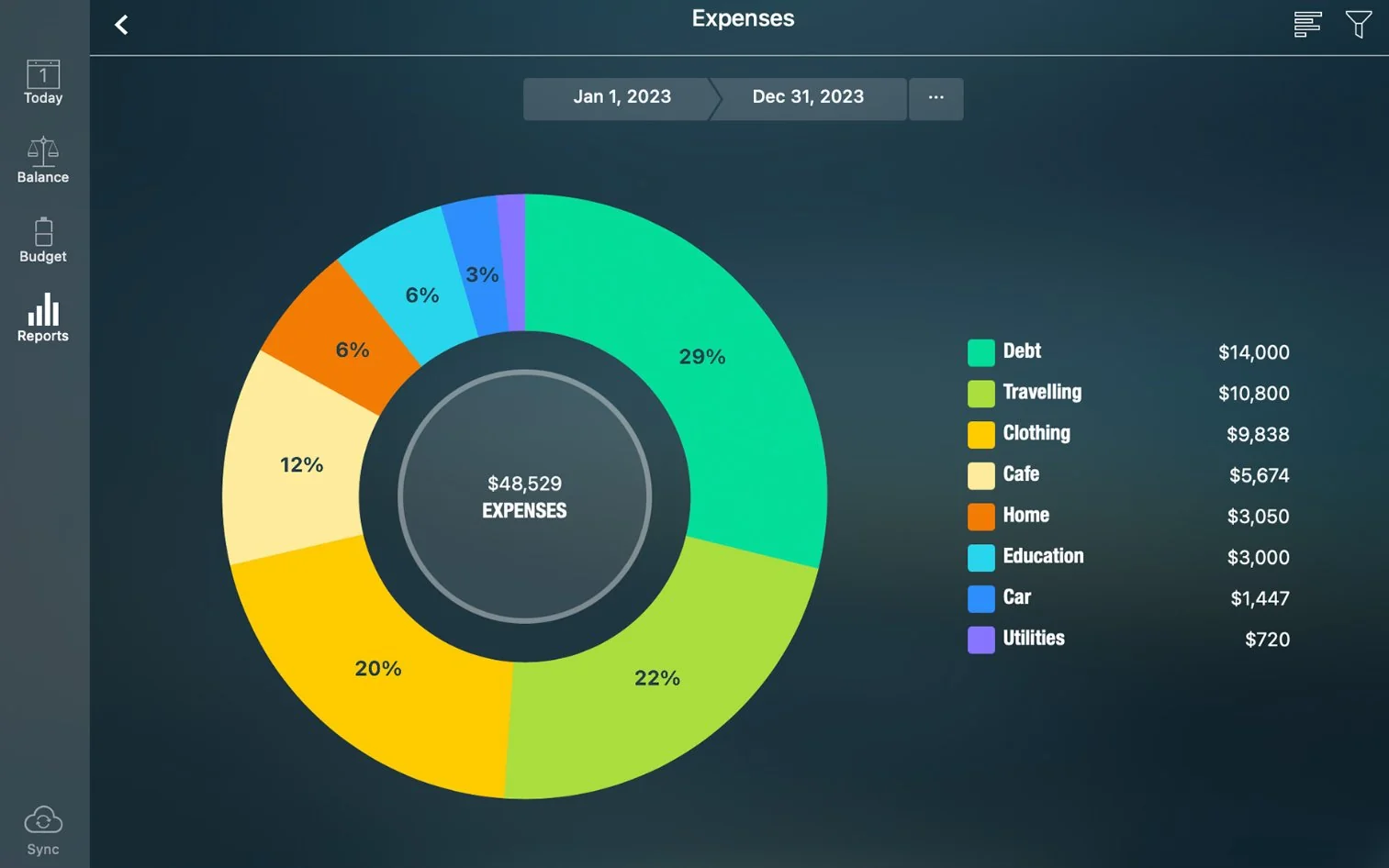 Money Pro MacOS Full Version User Interface